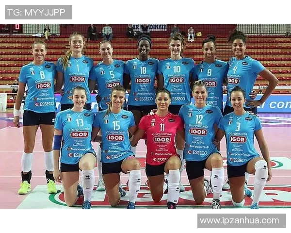 广州排球队引领最新排球技术前沿TOP10全解析