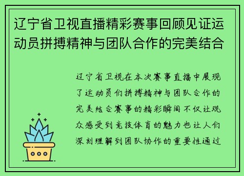 辽宁省卫视直播精彩赛事回顾见证运动员拼搏精神与团队合作的完美结合